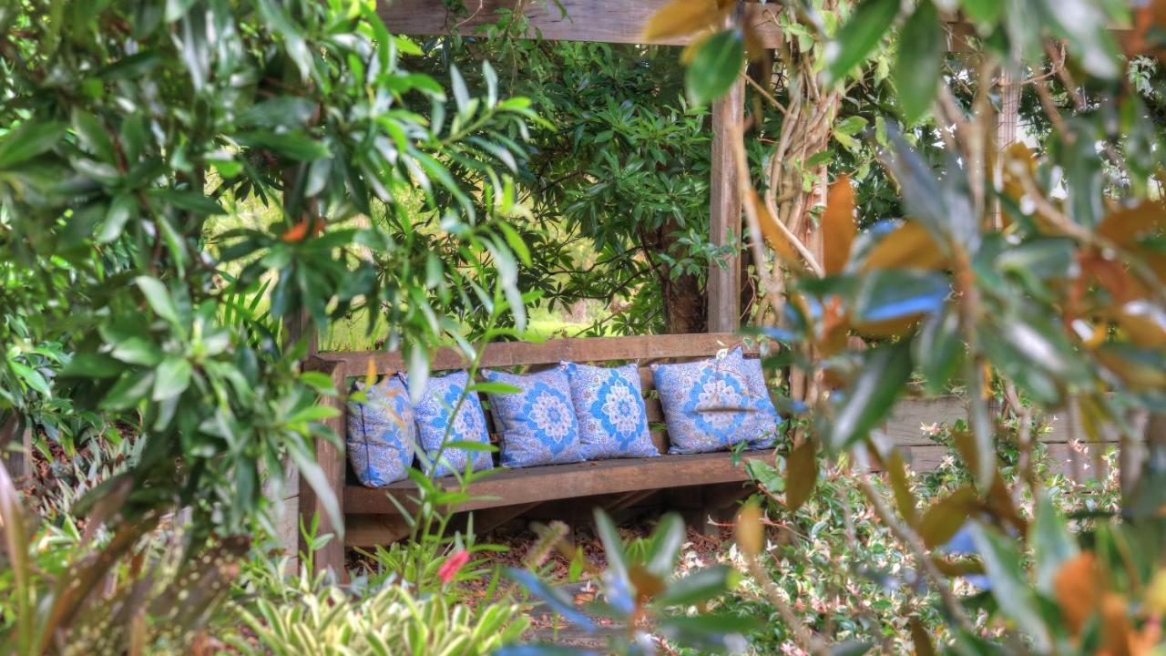 Flaxton Mitta Glen Guesthouse מראה חיצוני תמונה